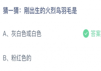 刚出生的火烈鸟羽毛是 蚂蚁庄园3月17日答案最新