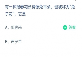 有一种报春花长得像兔耳朵也被称为兔子花是什么植物 蚂蚁庄园3月18日答案