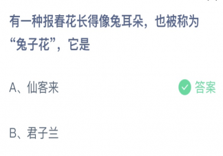 报春花长得像兔耳朵被称为兔子花的是 蚂蚁庄园3月18日答案介绍