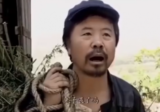 兔子喂了吗是什么梗 兔子喂了吗梗的出处是什么