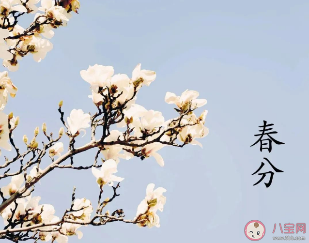 古时春分又称分春意思是什么 蚂蚁庄园3月21日答案解析 古时春分又称分春意思是什么 蚂蚁庄园3月21日答案解析