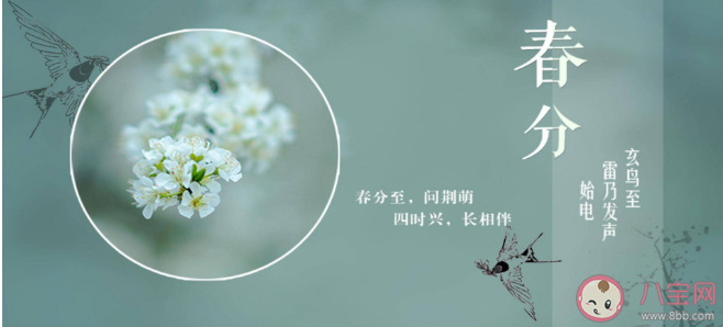 古时春分又称分春意思是什么 蚂蚁庄园3月21日答案解析 古时春分又称分春意思是什么 蚂蚁庄园3月21日答案解析
