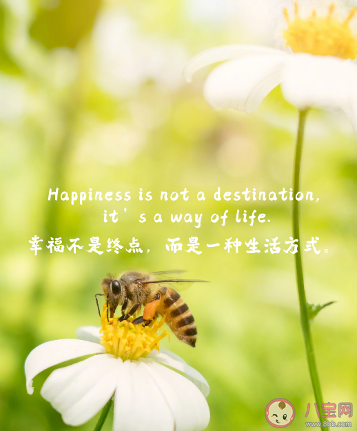 20件治愈自己生活的小事 如何才能让自己幸福