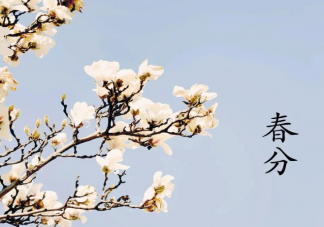 古时春分又称分春意思是什么 蚂蚁庄园3月21日答案解析