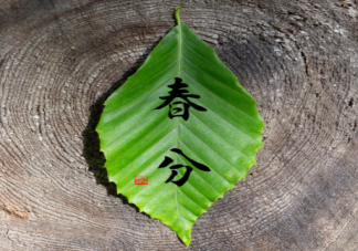 2023春分什么时候开始 2023春分禁忌有哪些