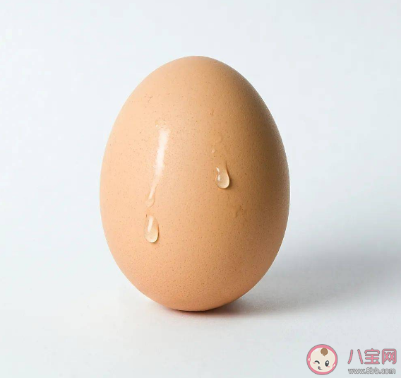 春分立鸡蛋成功率高吗有什么说法 为什么春分这天鸡蛋容易竖起来