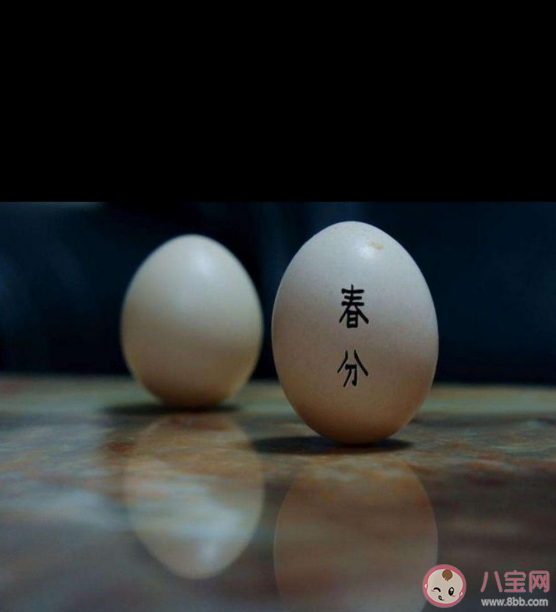 春分立鸡蛋成功率高吗有什么说法 为什么春分这天鸡蛋容易竖起来