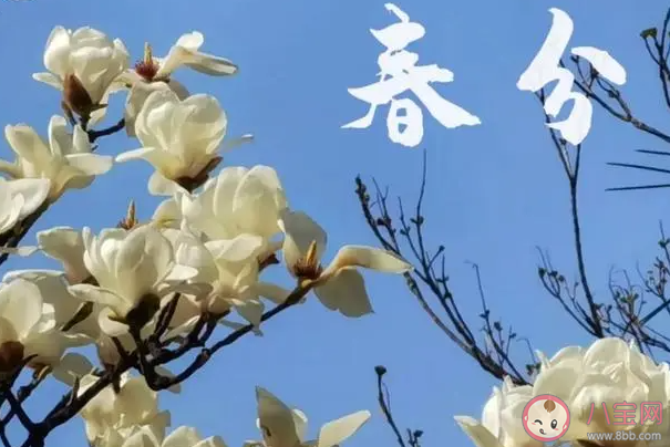 2023春分该吃什么 春分习俗有哪些