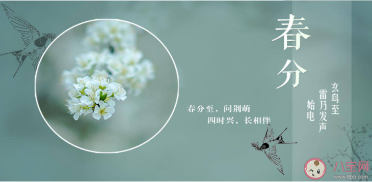 2023春分怎么养生 春分养生建议 2023春分怎么养生 春分养生建议