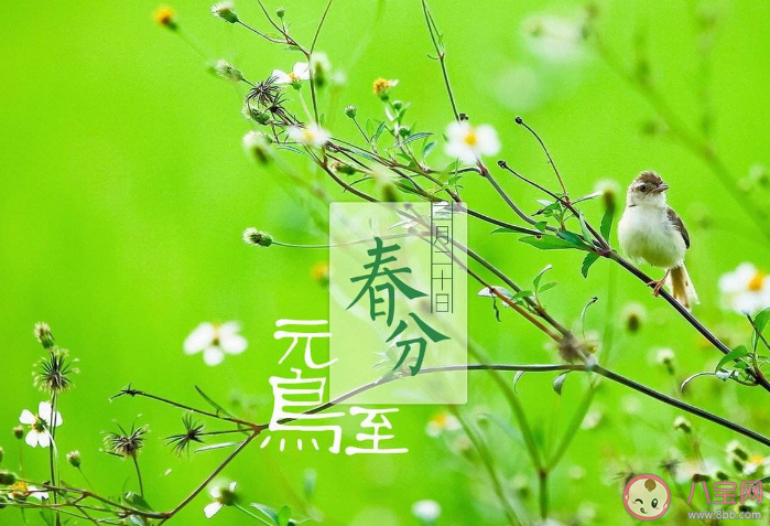 2023春分怎么养生 春分养生建议 2023春分怎么养生 春分养生建议