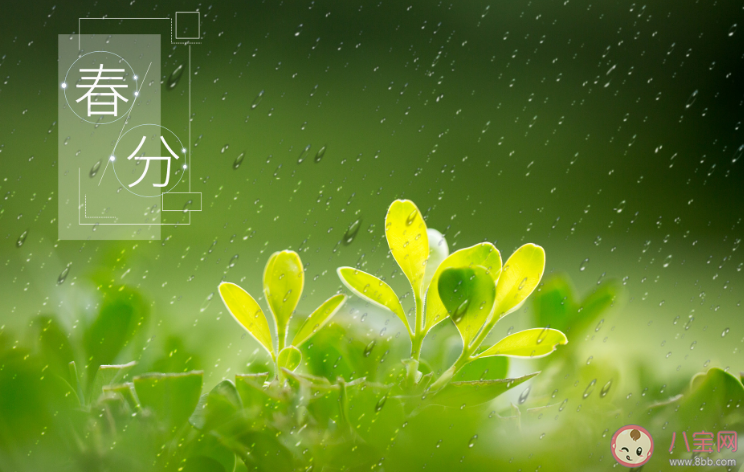 2023春分怎么养生 春分养生建议 2023春分怎么养生 春分养生建议