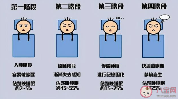 8小时睡眠论可能是错的吗 如何看待8小时睡眠论