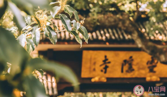 媒体评年轻人不上课不上进只上香说了什么 如何看待年轻人的这种选择
