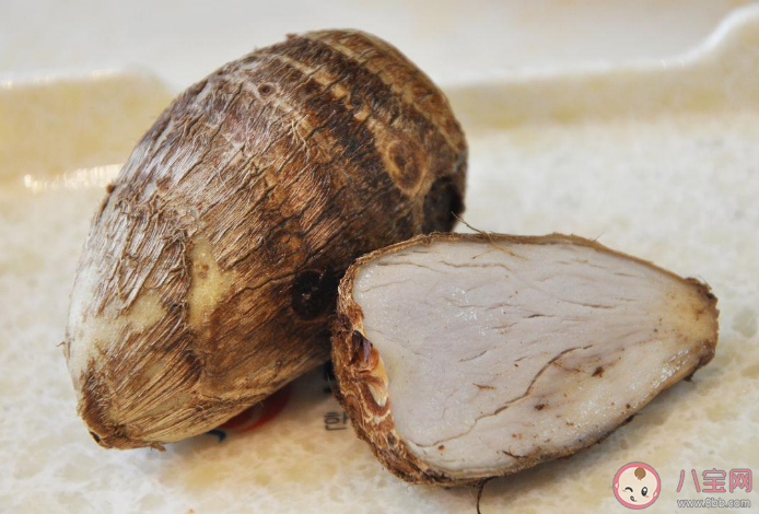 以下哪种植物适合烹饪食用 蚂蚁庄园3月23日答案