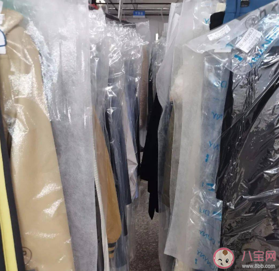 羽绒服怎么存放更合适 蚂蚁庄园3月23日答案解析