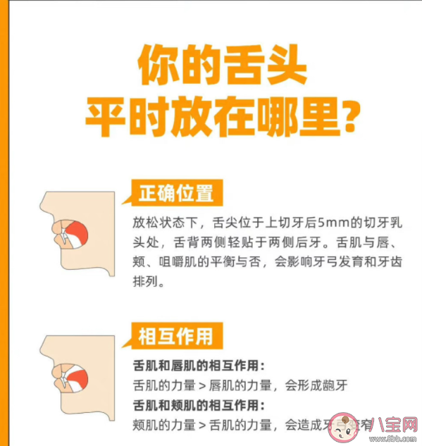 舌头放对位置真的很重要 舌头应该怎么放