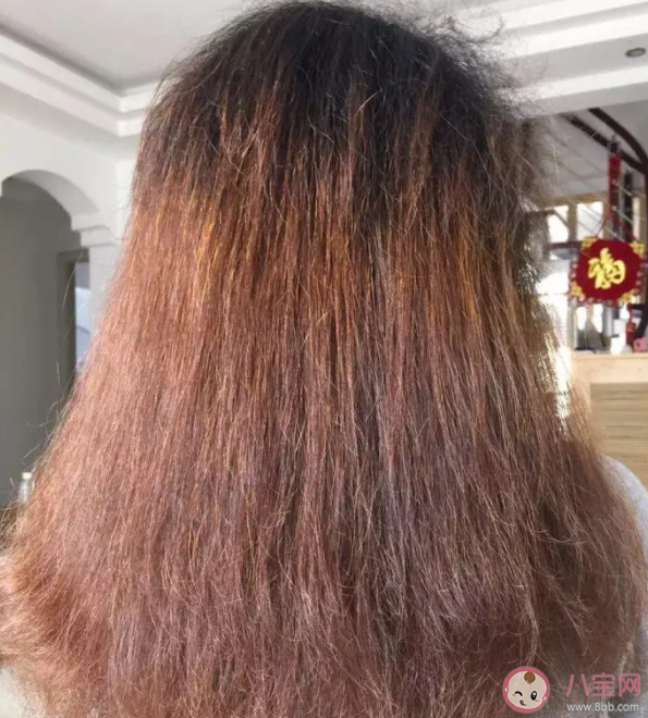 头发干枯和洗发水有关吗 头发干枯用什么洗发水好