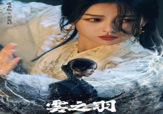 《云之羽》演员阵容介绍 《云之羽》讲述了什么故事