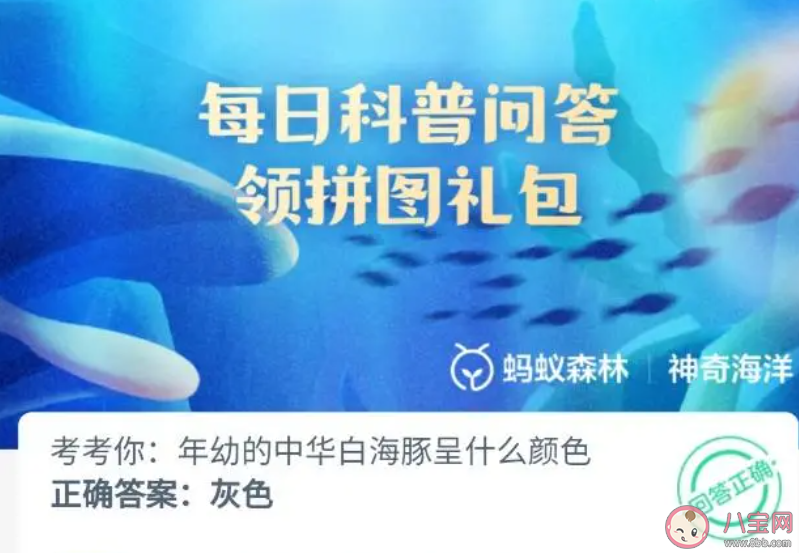 年幼的中华白海豚呈什么颜色 神奇海洋3月23日答案