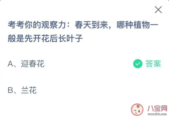 春天到来哪种植物一般是先开花后长叶子 蚂蚁庄园3月25日答案