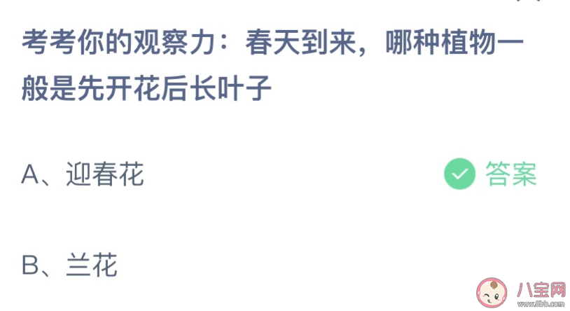 哪种植物一般是先开花后长叶子 蚂蚁庄园3月25日答案介绍