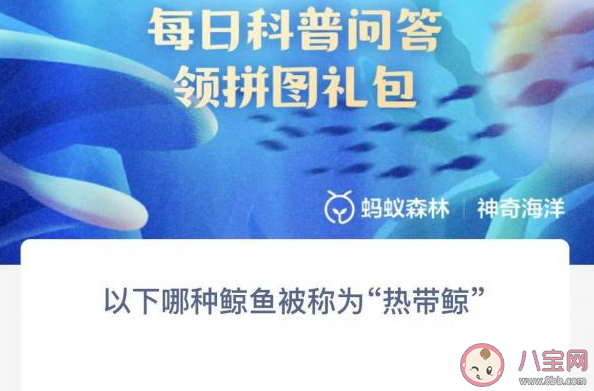 以下哪种鲸鱼被称为热带鲸 神奇海洋3月24日答案
