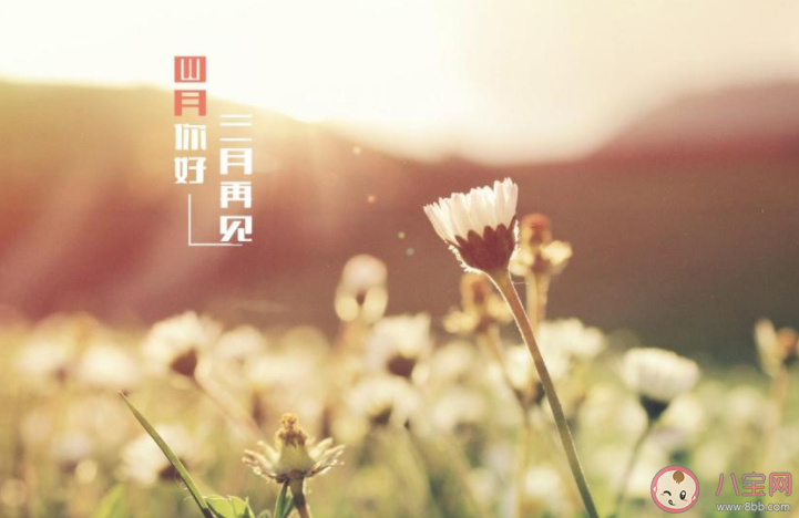 3月最后一天心情说说文案 3月再见心情说说配图