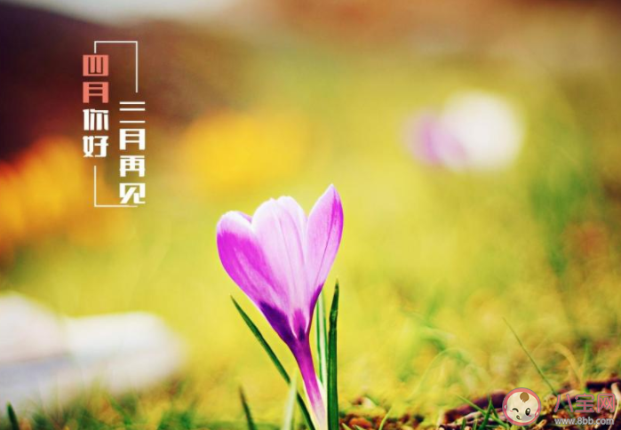 3月最后一天心情说说文案 3月再见心情说说配图