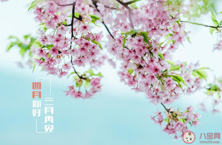 3月最后一天心情说说文案 3月再见心情说说配图