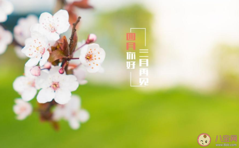 3月最后一天心情说说文案 3月再见心情说说配图
