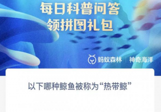 以下哪种鲸鱼被称为热带鲸 神奇海洋3月24日答案