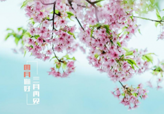 3月最后一天心情说说文案 3月再见心情说说配图