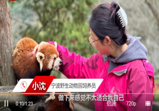 95后设计师辞职当动物饲养员 动物为什么很治愈