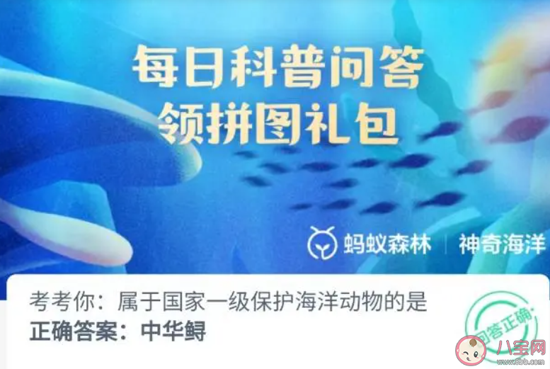 属于国家一级保护海洋动物的是 神奇海洋3月27日答案