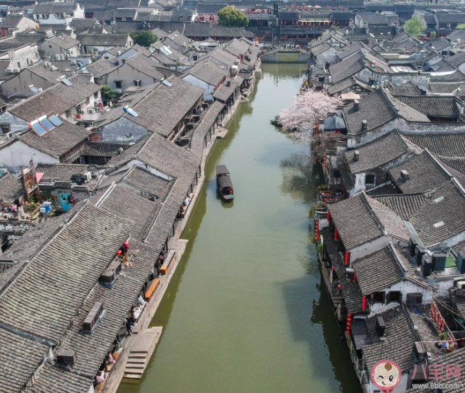 全国各地古镇相似度高达99%吗 为什么古镇都长一个样了