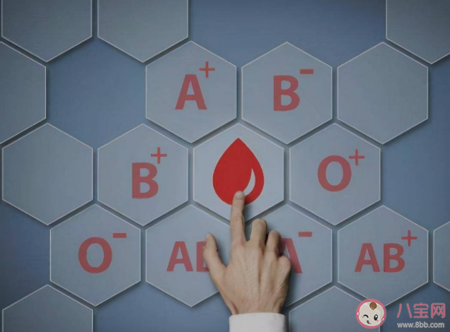 O型血更招蚊子是谣言 O型血真的是万能血吗