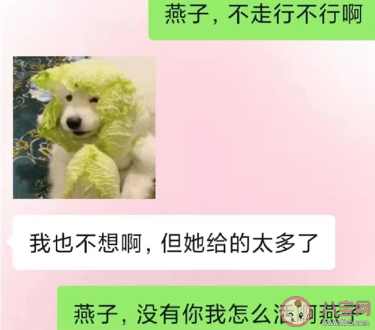 搭子是一种新型的社交关系 摸鱼搭子是什么意思什么梗