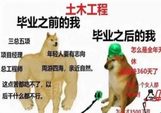 大学最后悔学的专业是什么 为什么很多人后悔学小语种