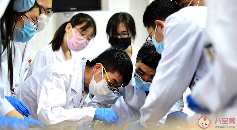 医学生培养了八年还不会看病是为何 我们到底需要什么样的医生