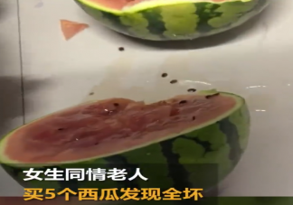 女生同情老人买5西瓜切开发现全坏 买西瓜时怎样挑选