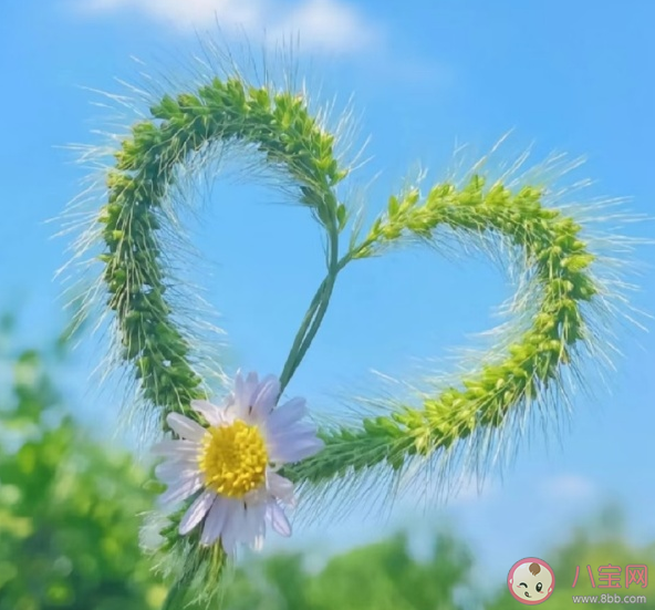 结婚要车要房要彩礼有错吗 为什么结婚不要彩礼不容易被珍惜