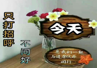 2023清明前后不问好的文案祝福语说说 清明节只打招呼不问好的图片说说大全