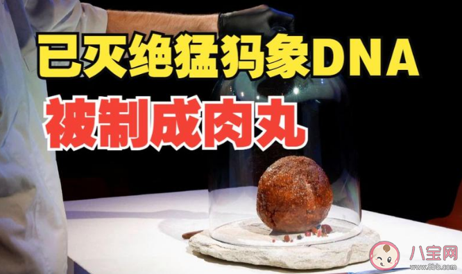 世界首个猛犸象肉丸诞生哪里 猛犸象肉丸能吃吗味道怎么样