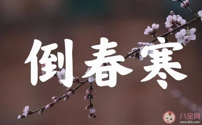 沉浸式倒春寒即将来袭 倒春寒来袭如何应对 沉浸式倒春寒即将来袭 倒春寒来袭如何应对