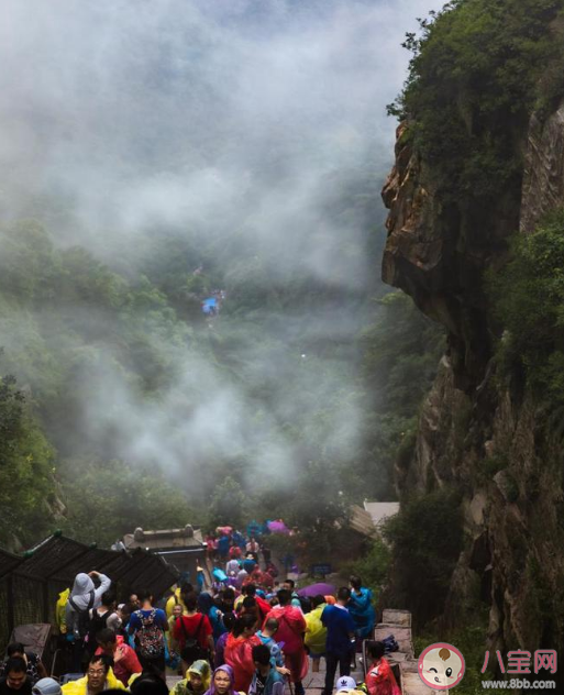 大学生为何都涌向泰山 大学生都去爬泰山的原因 大学生为何都涌向泰山 大学生都去爬泰山的原因