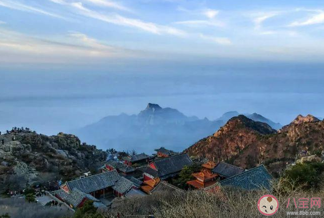 大学生为何都涌向泰山 大学生都去爬泰山的原因 大学生为何都涌向泰山 大学生都去爬泰山的原因