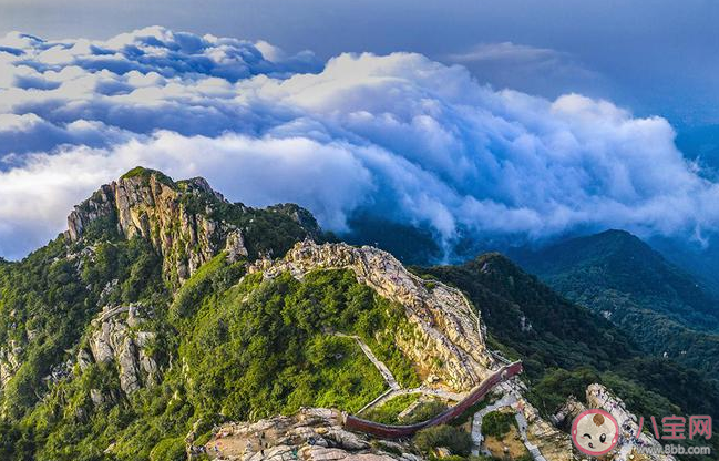 大学生为何都涌向泰山 大学生都去爬泰山的原因 大学生为何都涌向泰山 大学生都去爬泰山的原因