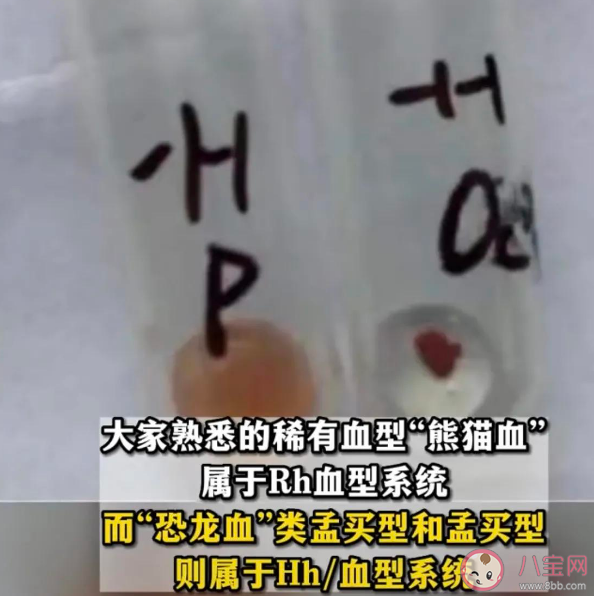广东检出1例恐龙血 恐龙血有多罕见