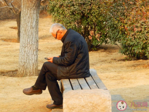 不婚族晚年生活是什么样子 你是选择结婚还是不结婚