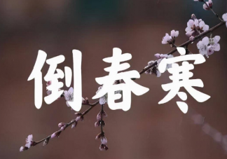 沉浸式倒春寒即将来袭 倒春寒来袭如何应对